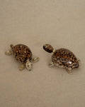 Pair of turtles made of shells