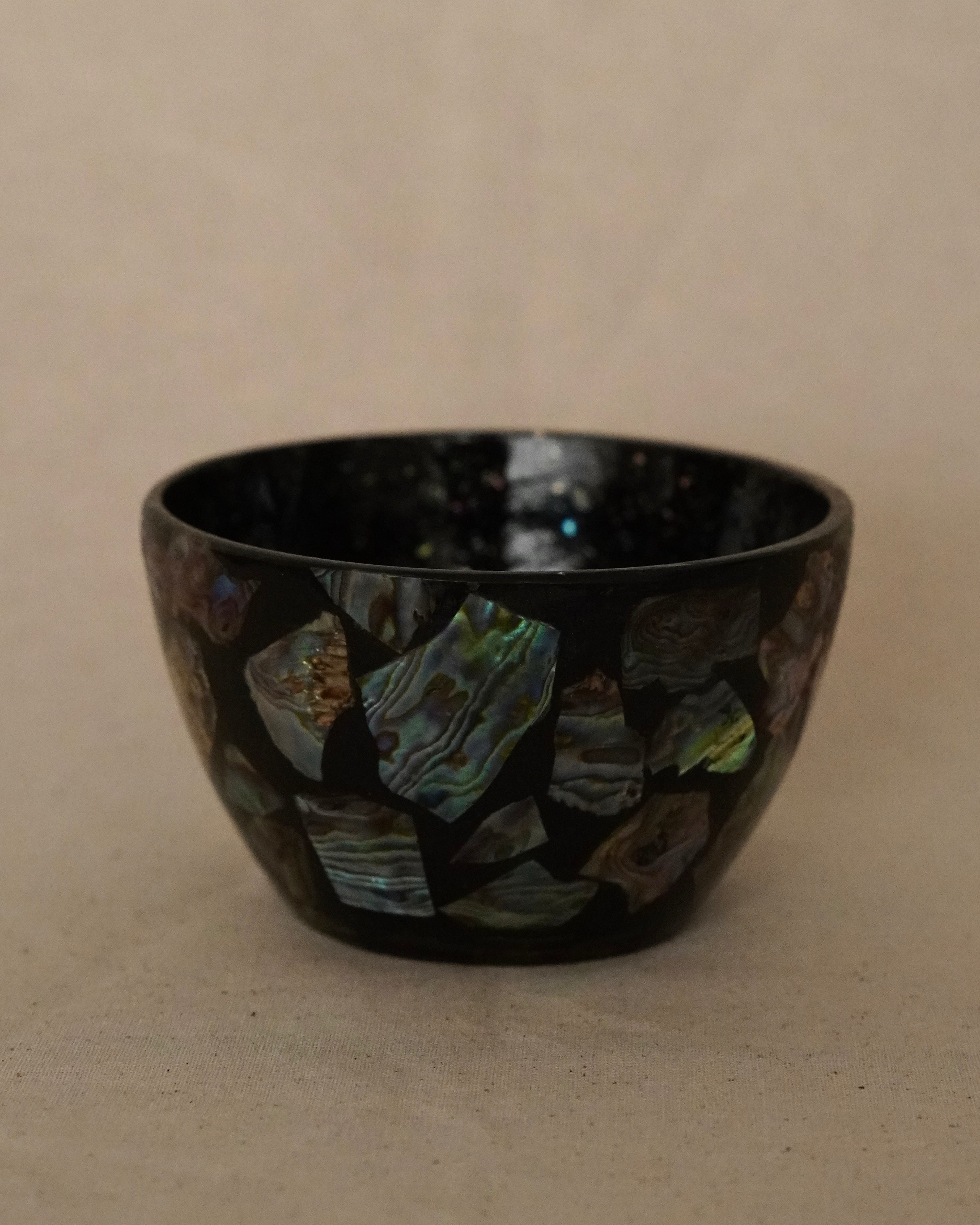 Abalone shell bowl (Made in Fiordland, NZ)