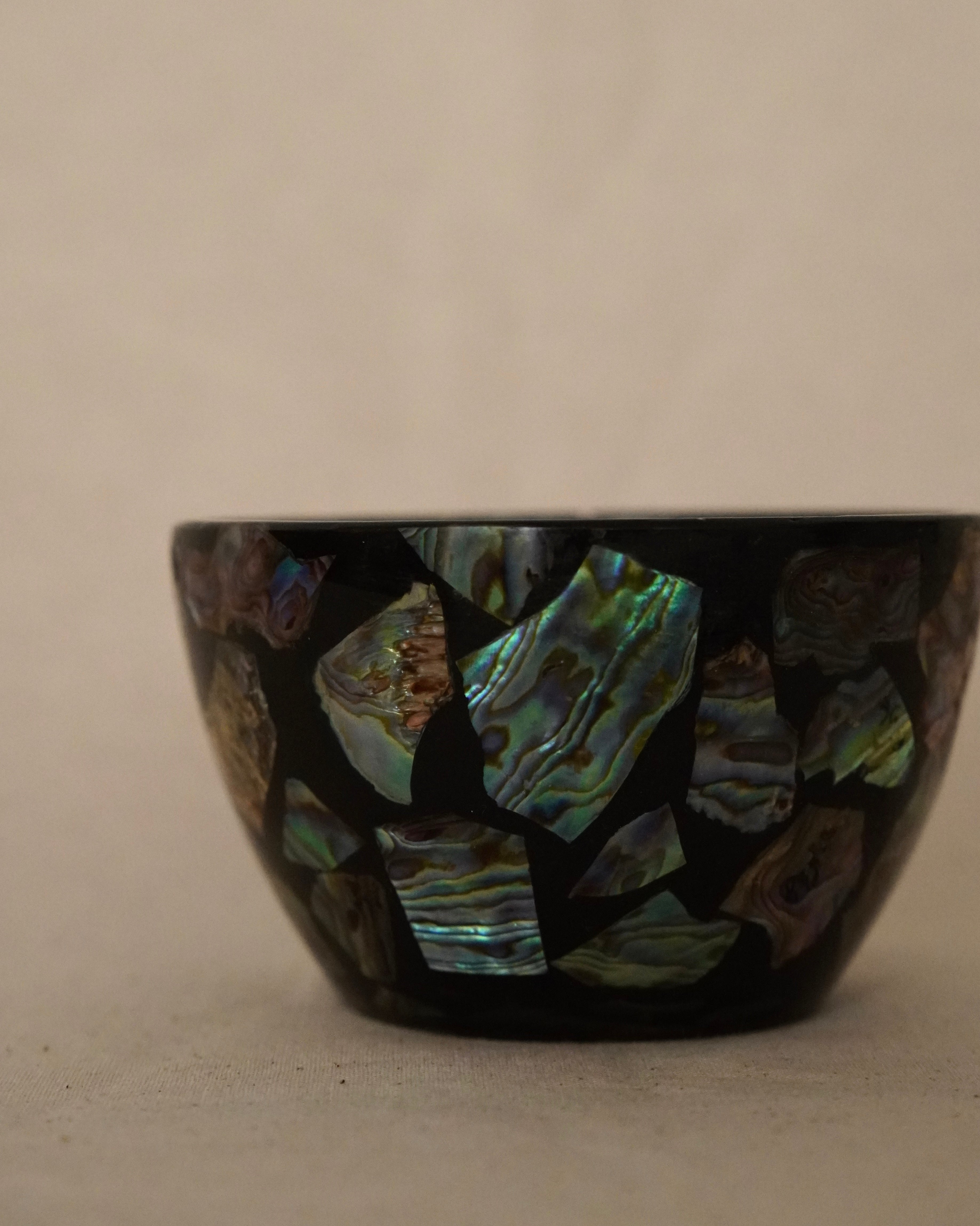 Abalone shell bowl (Made in Fiordland, NZ)