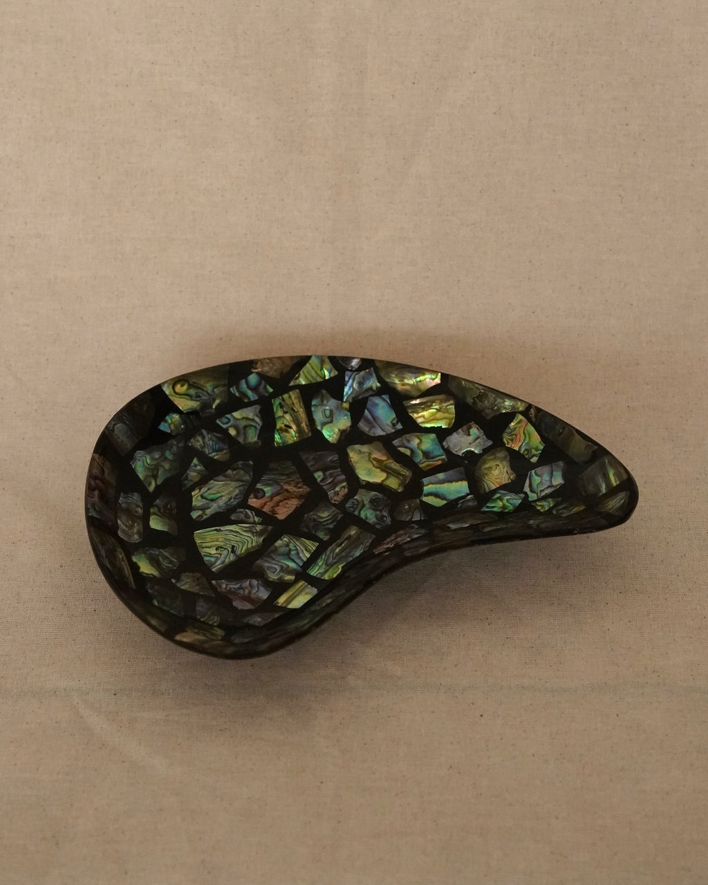 Abalone shell tray dish (Made in Fiordland, NZ)