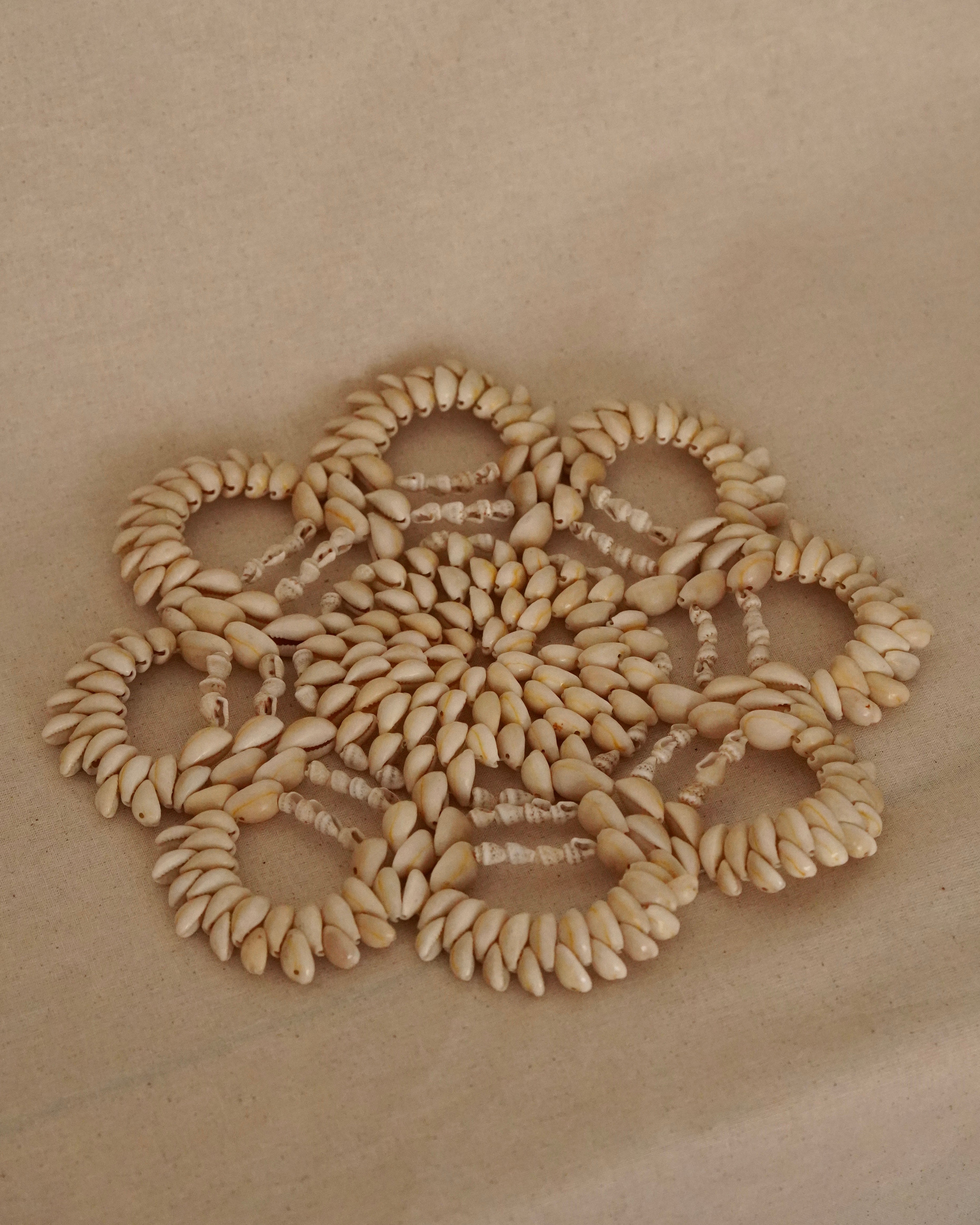 Shell coaster