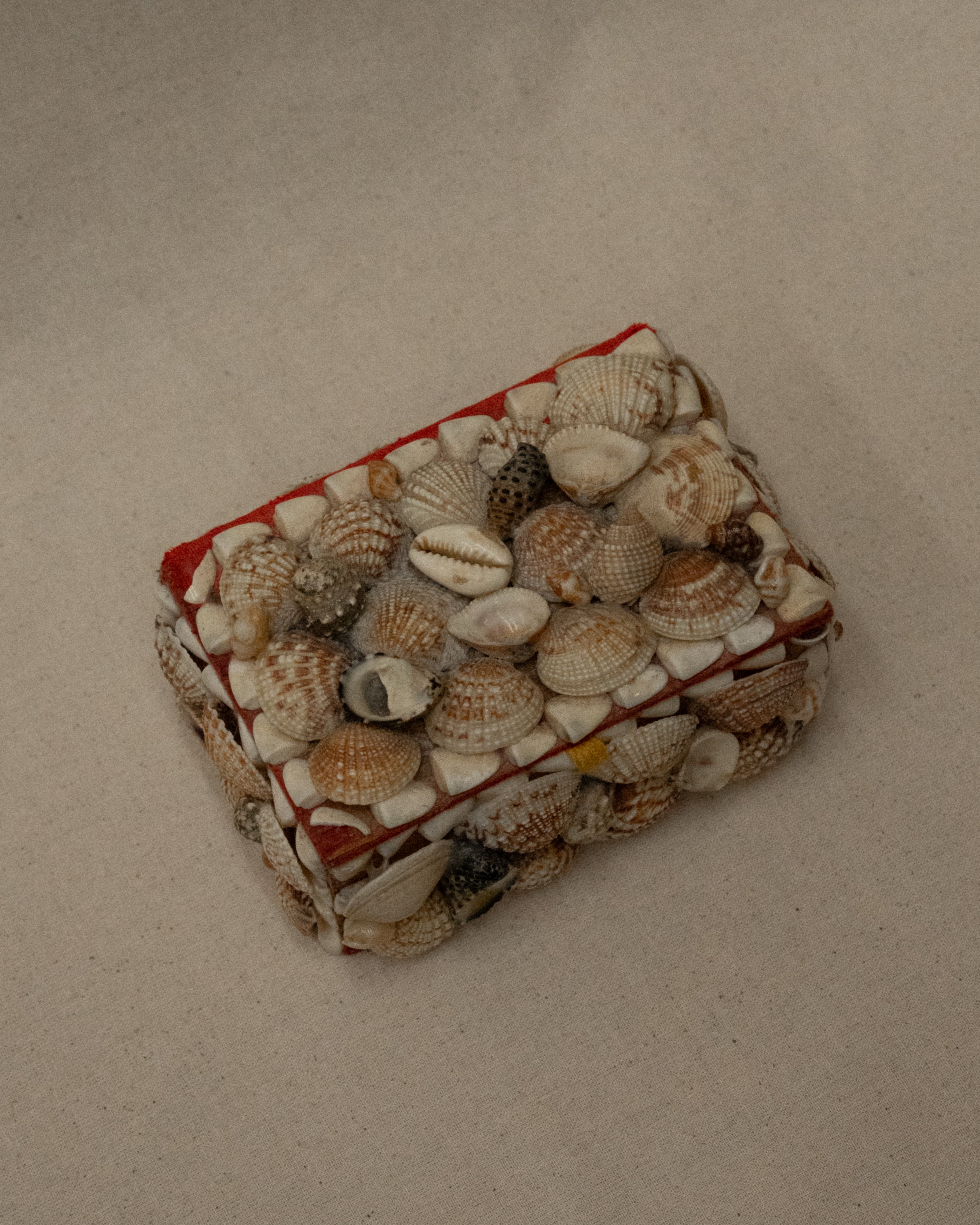 Seashell adorned rectangular trinket box