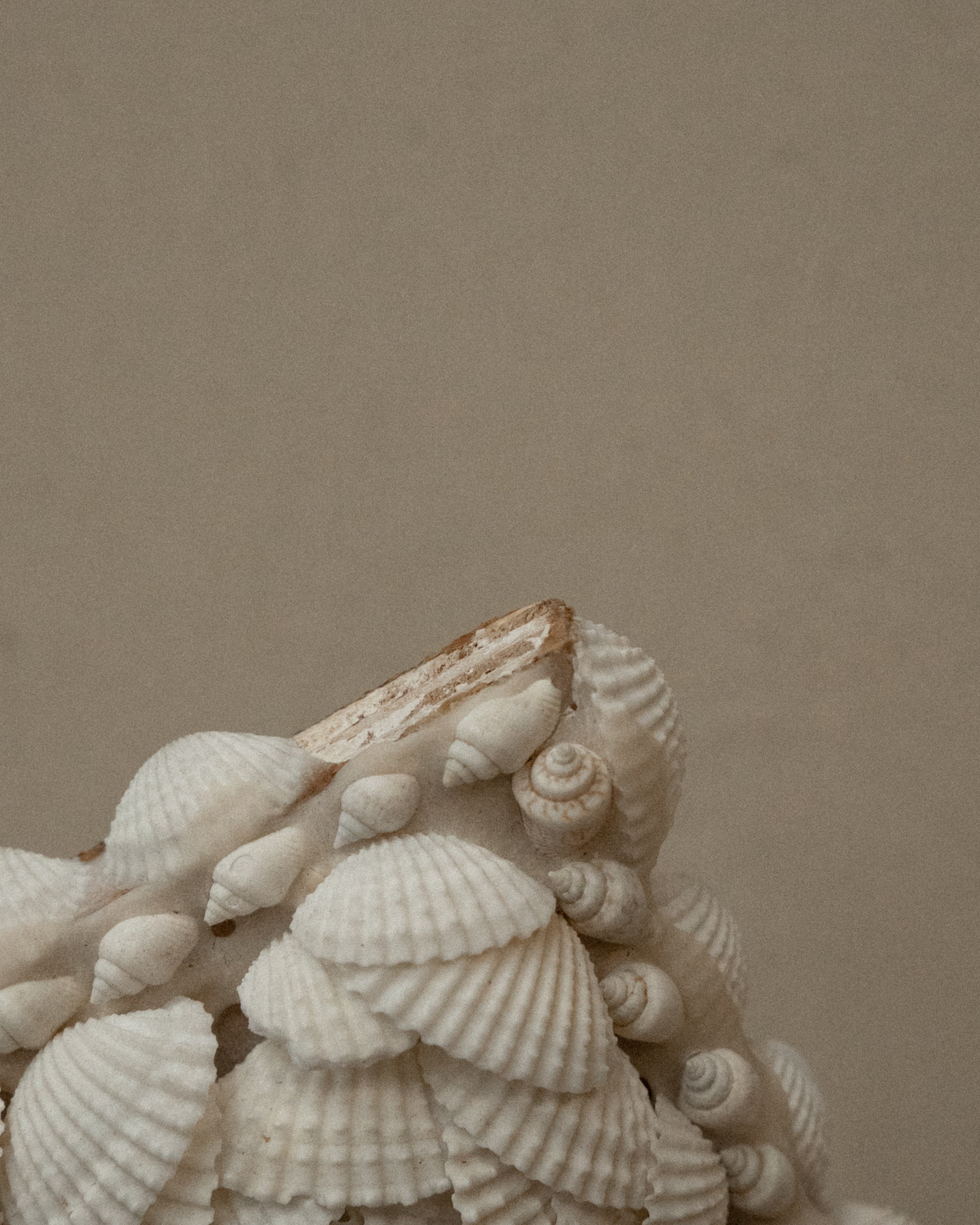 Cross wall hanging decorated with shells