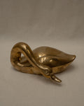 Brass duck