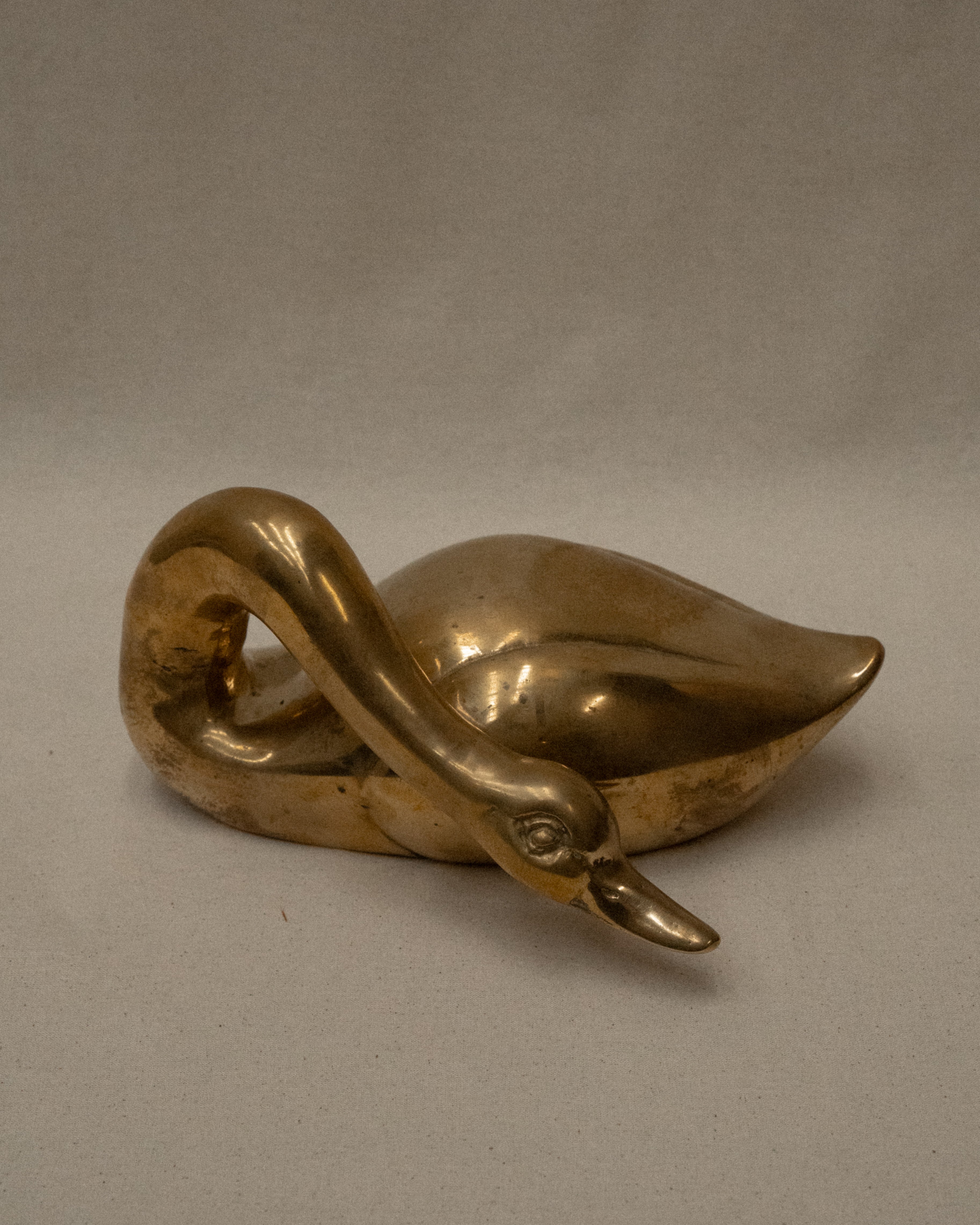 Brass duck