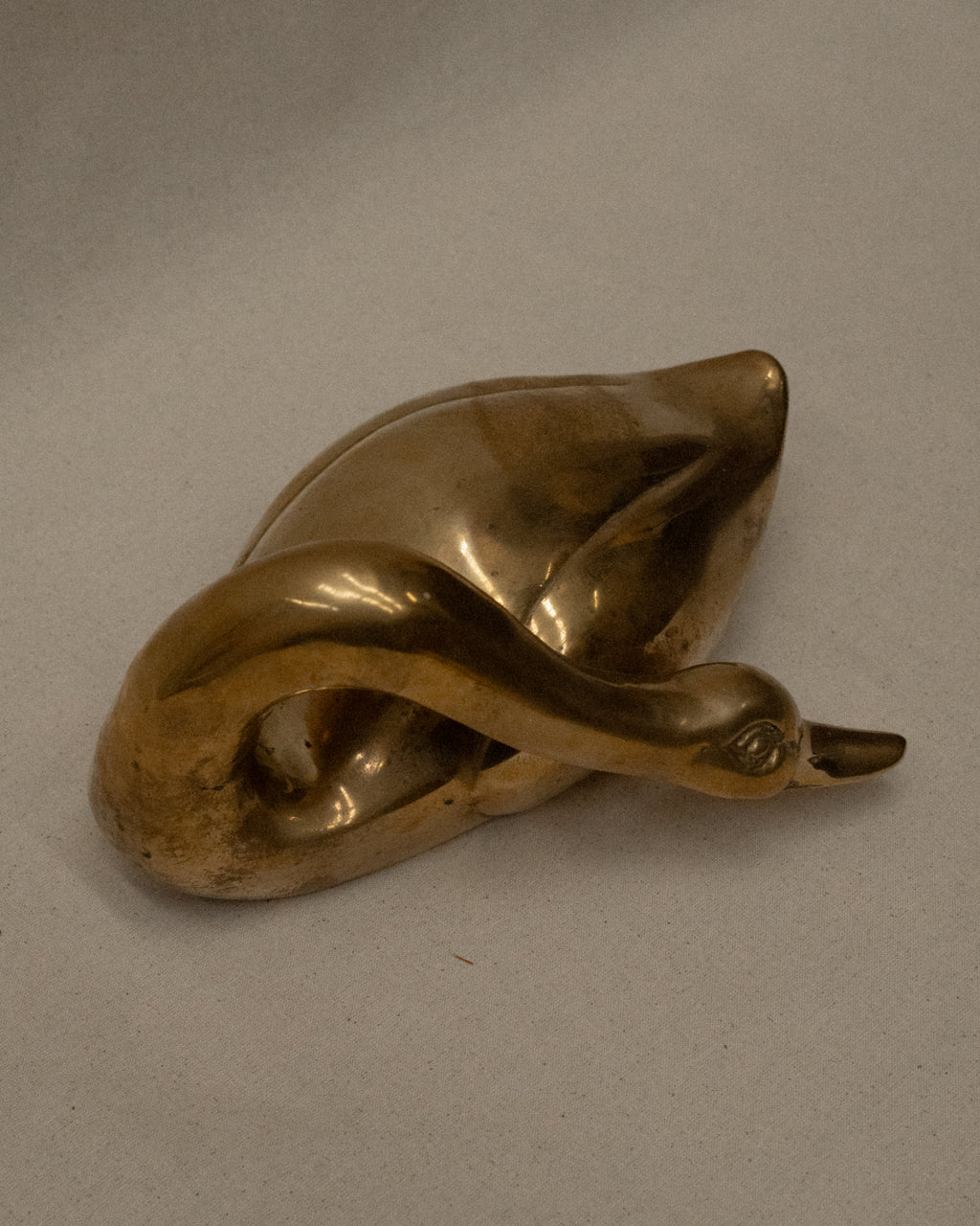 Brass duck