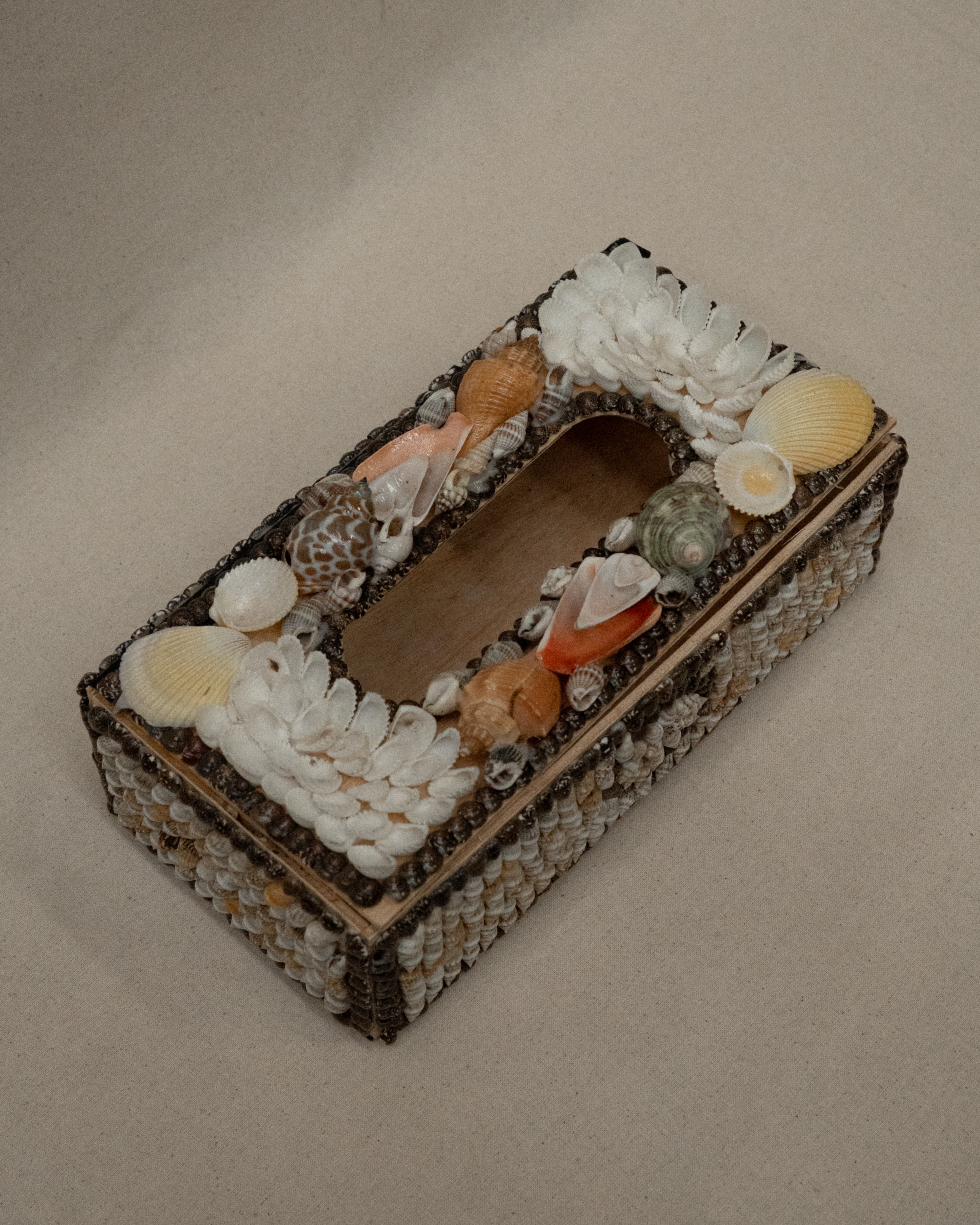 Tissue box adorned with shells