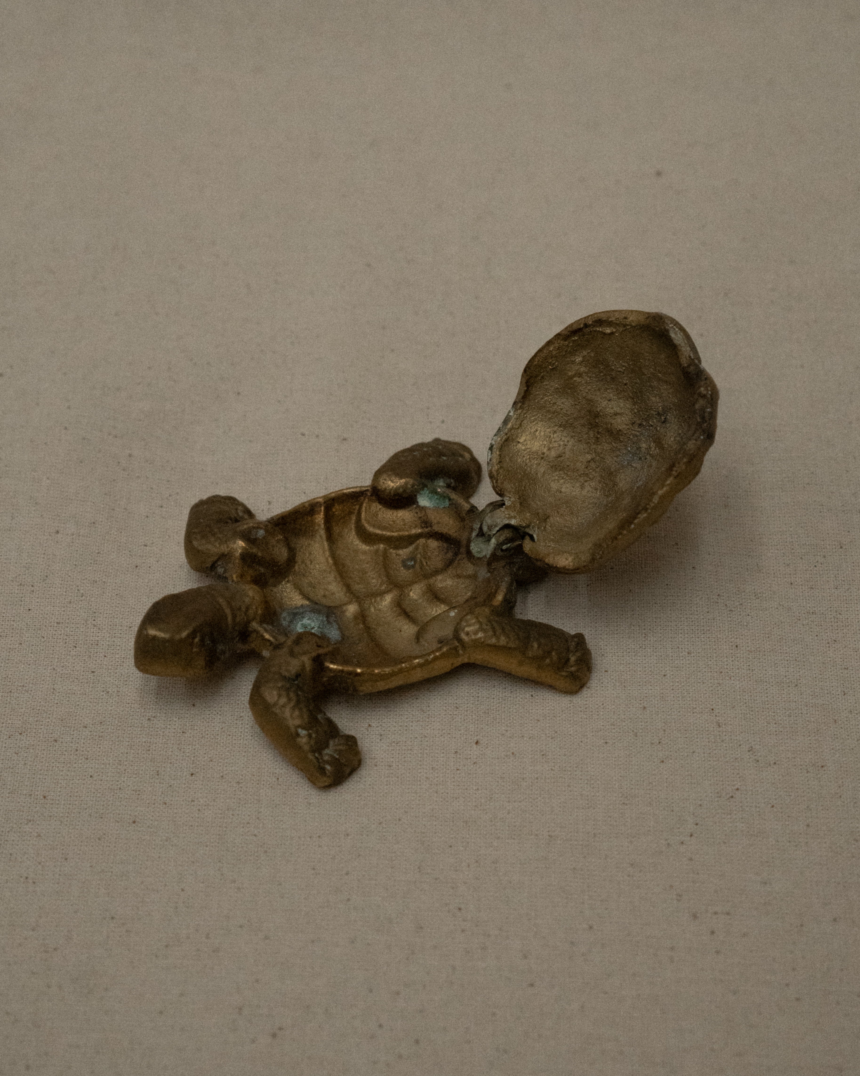 Brass turtle that shell opens up