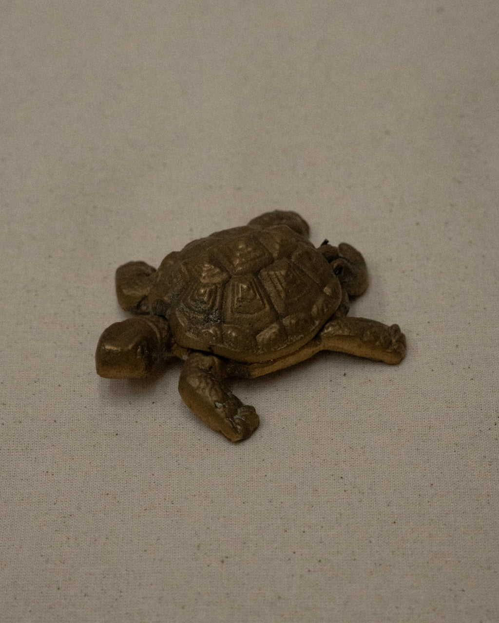 Brass turtle that shell opens up