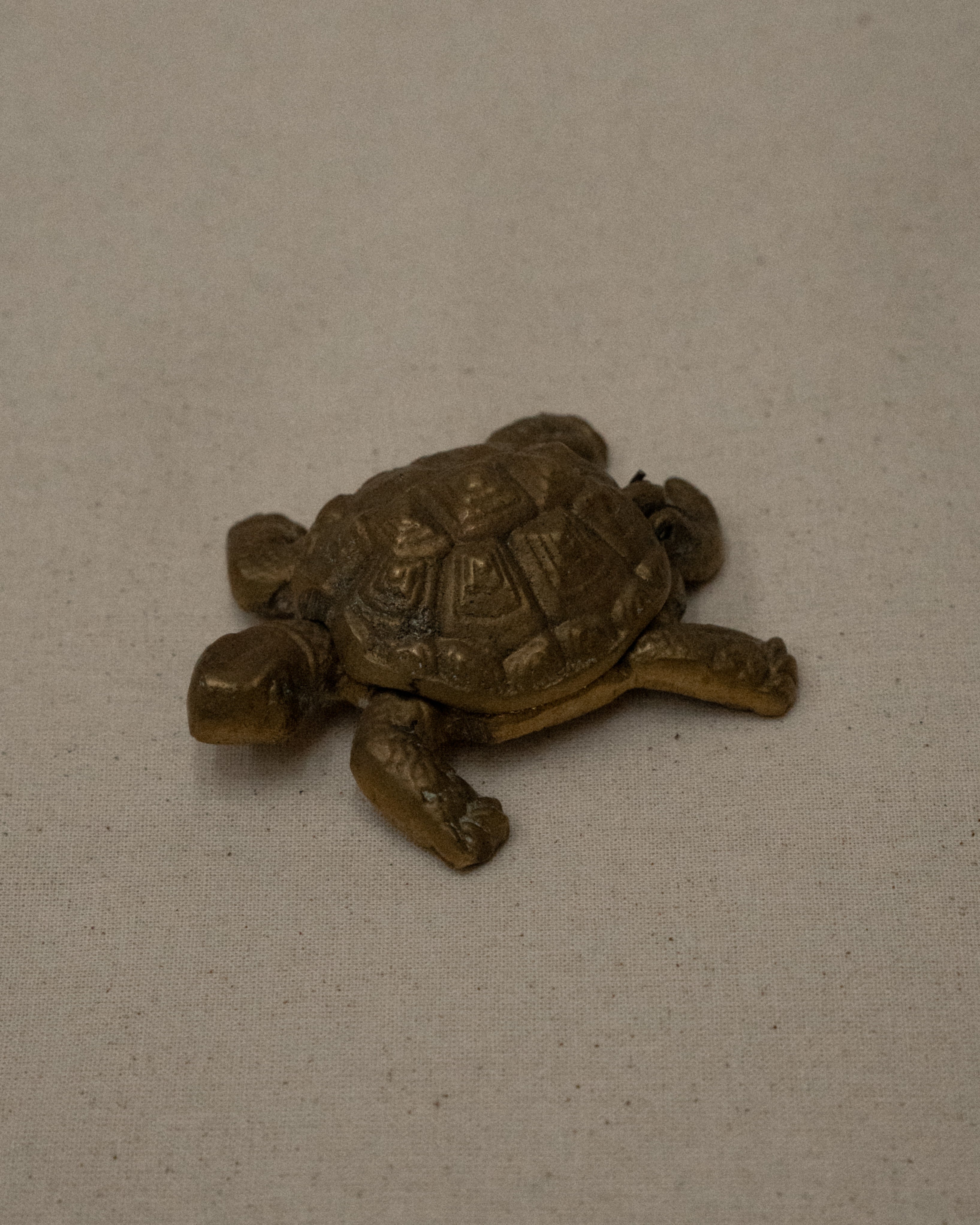 Brass turtle that shell opens up