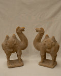 Concrete camel sculpture
