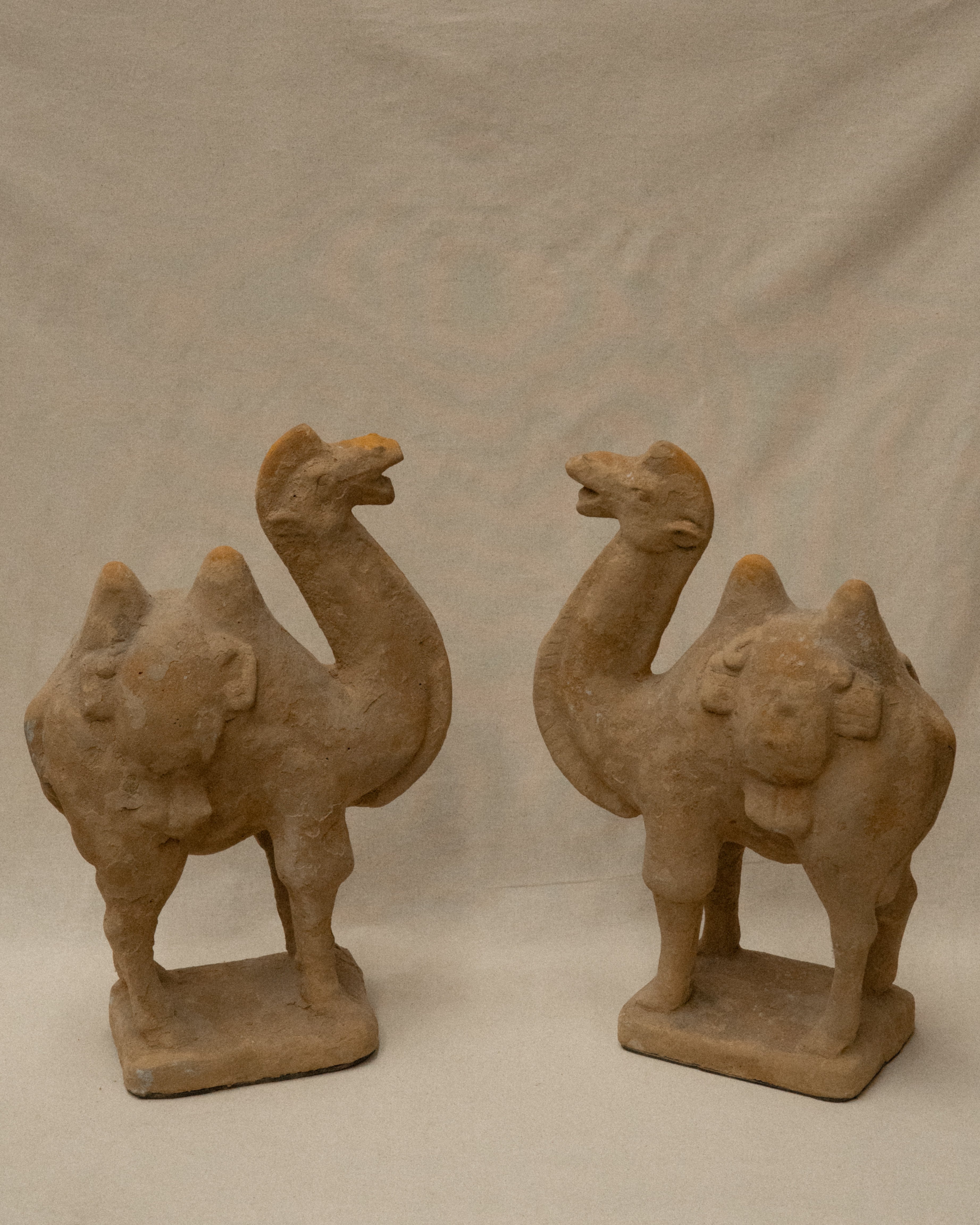 Concrete camel sculpture