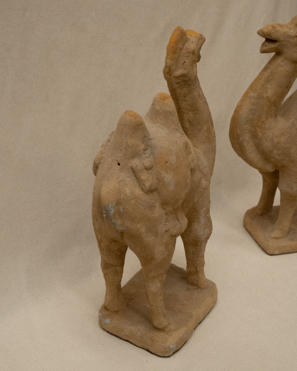 Concrete camel sculpture