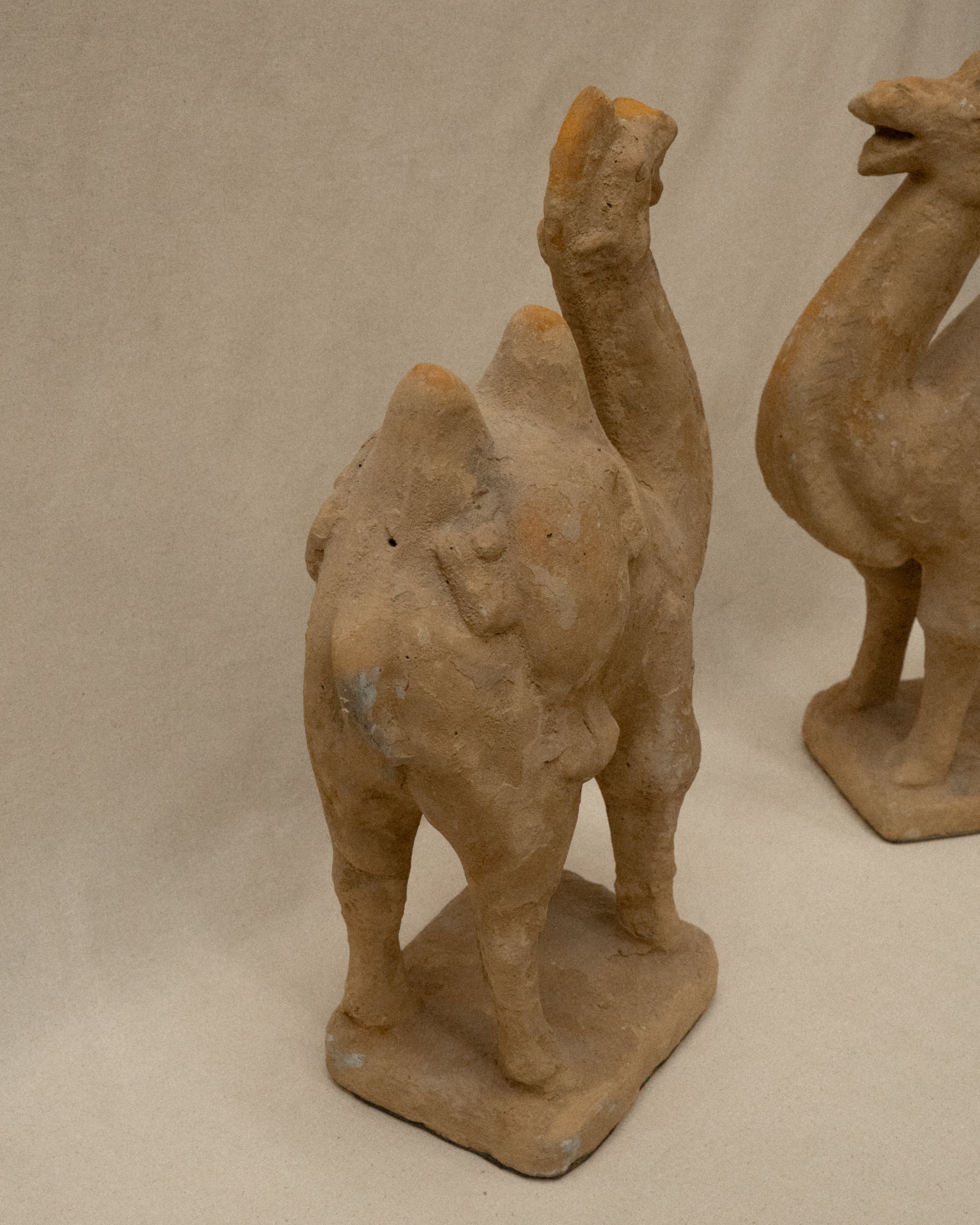 Concrete camel sculpture