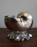 Victorian era (1880-1890s) silver plated Nautilus shell spoon warmer on naturalistic base by Atkin Bros
