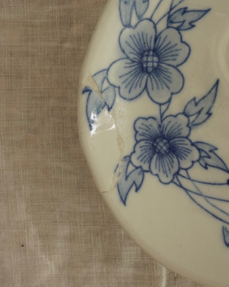 Duck blue and white ceramic plate