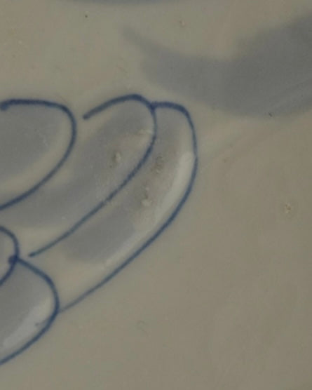 Duck blue and white ceramic plate