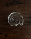 Glass ammonite shell